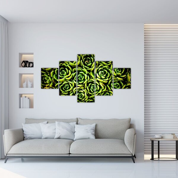 Obraz netřesků (125x70 cm)