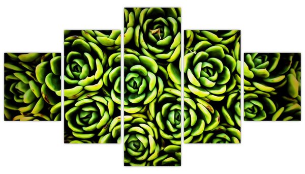 Obraz netřesků (125x70 cm)