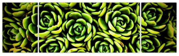 Obraz netřesků (170x50 cm)