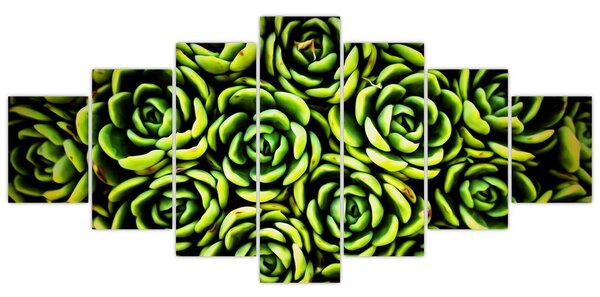 Obraz netřesků (210x100 cm)