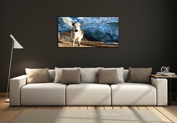 Foto obraz fotografie na skle Jako hory osh-76308840