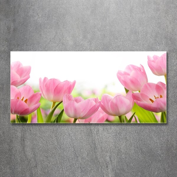 Foto obraz skleněný horizontální Růžové tulipány osh-76412458