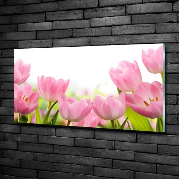 Foto obraz skleněný horizontální Růžové tulipány osh-76412458