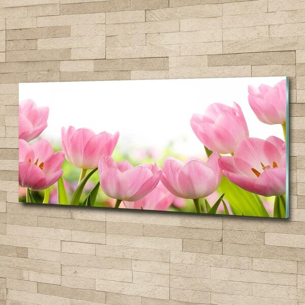 Foto obraz skleněný horizontální Růžové tulipány osh-76412458