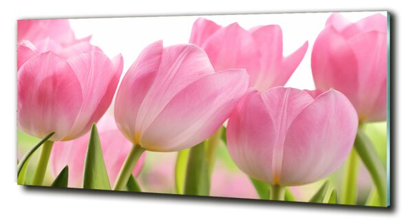 Fotoobraz na skle Růžové tulipány osh-76775867