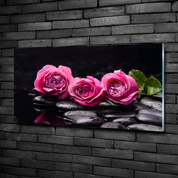 Foto-obrah sklo tvrzené Růžové růže osh-77048055
