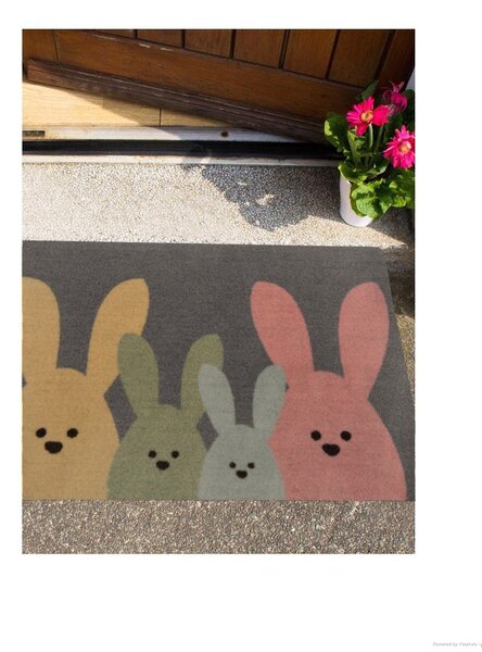 Hanse Home, Protiskluzová rohožka Printy 104452 Grey, Multicolor, 40x60, vícebarevná, chodba / předsíň
