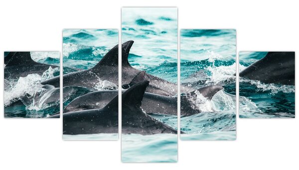 Obraz - Delfíni v oceáně (125x70 cm)