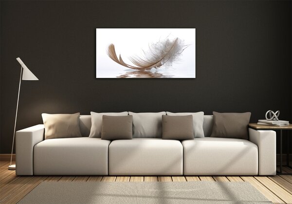 Moderní skleněný obraz z fotografie Pírka ve vodě osh-77181591