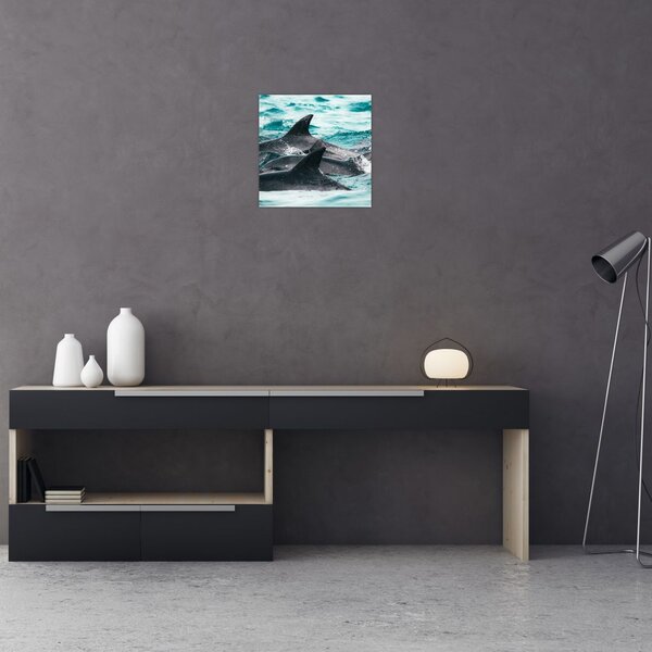 Obraz - Delfíni v oceáně (30x30 cm)
