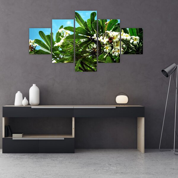 Obraz - Plumerie (125x70 cm)