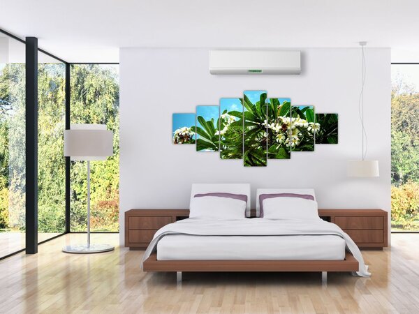 Obraz - Plumerie (210x100 cm)