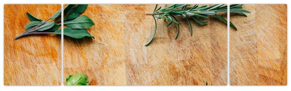 Obraz - Bylinky (170x50 cm)
