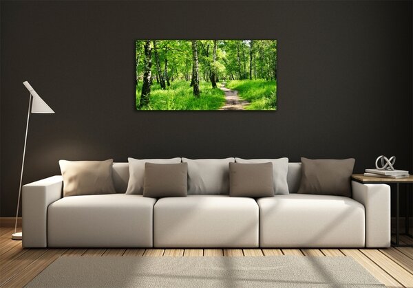 Foto obraz fotografie na skle Břízový les osh-78692232