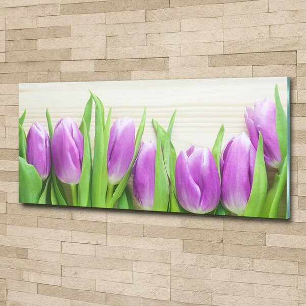 Foto obraz fotografie na skle Fialové tulipány osh-78755149