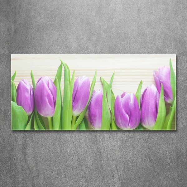 Foto obraz fotografie na skle Fialové tulipány osh-78755149