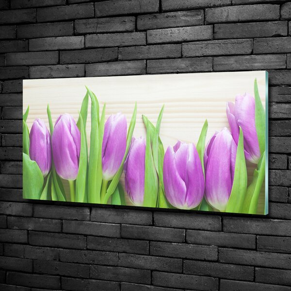Foto obraz fotografie na skle Fialové tulipány osh-78755149