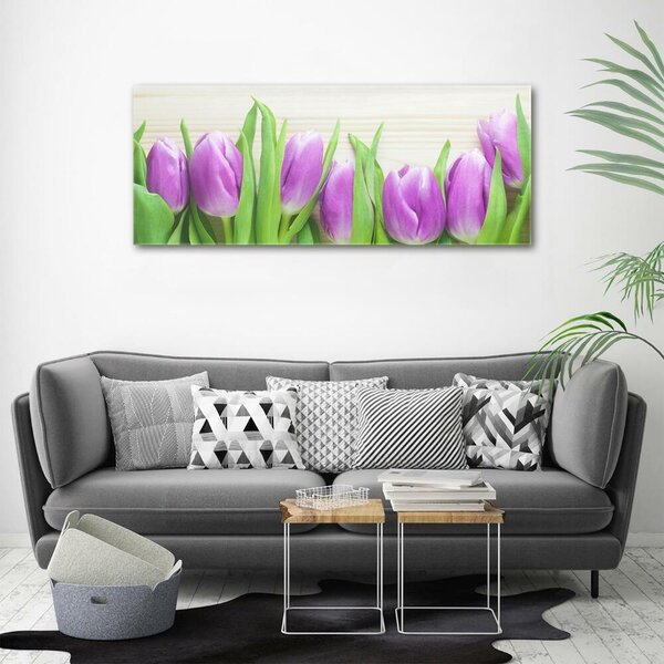 Foto obraz fotografie na skle Fialové tulipány osh-78755149