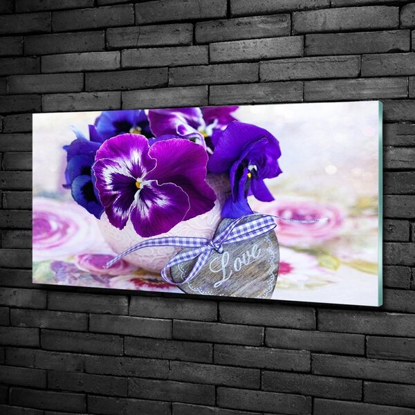 Foto obraz skleněný horizontální Fialové fialky osh-79089642