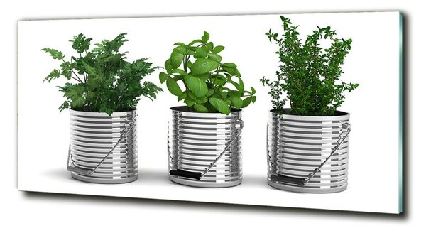 Fotoobraz na skle Aromatické rostliny osh-79250581