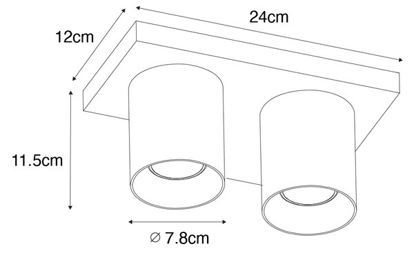 Moderní stropní bodové svítidlo černé se zlatým 2-světlem - Tubo