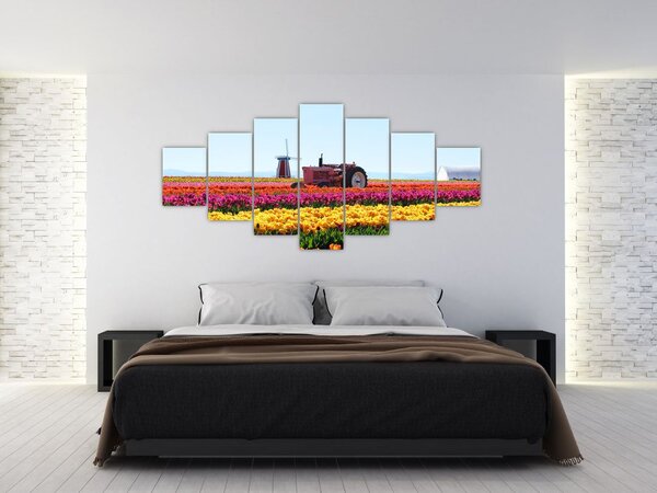 Obraz tulipánové farmy (210x100 cm)