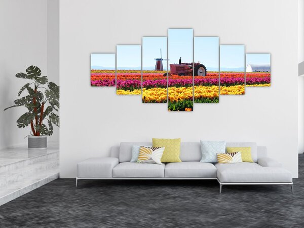 Obraz tulipánové farmy (210x100 cm)