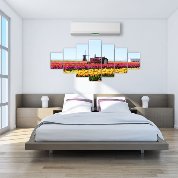 Obraz tulipánové farmy (210x100 cm)