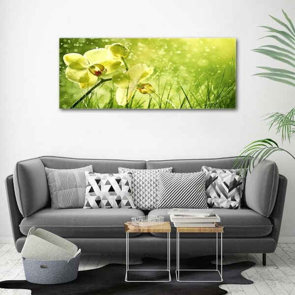 Foto obraz skleněný horizontální Orchidej osh-79420642