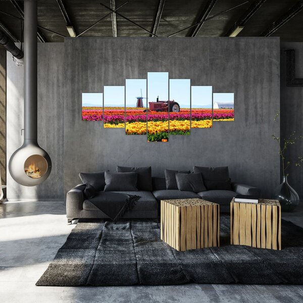 Obraz tulipánové farmy (210x100 cm)