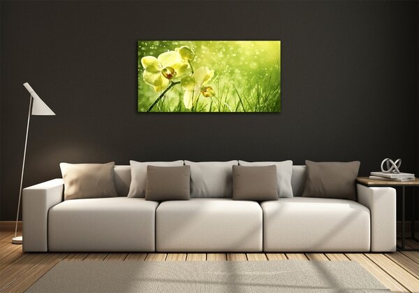 Foto obraz skleněný horizontální Orchidej osh-79420642