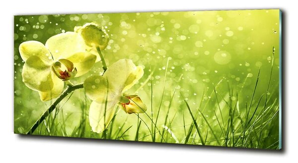 Foto obraz skleněný horizontální Orchidej osh-79420642