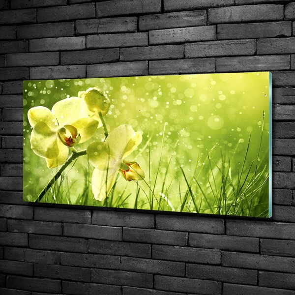 Foto obraz skleněný horizontální Orchidej osh-79420642