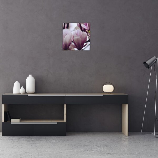 Obraz - Magnolie (30x30 cm)