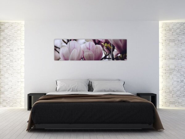 Obraz - Magnolie (170x50 cm)