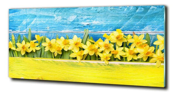 Moderní foto obraz na stěnu Narcisy osh-79578673