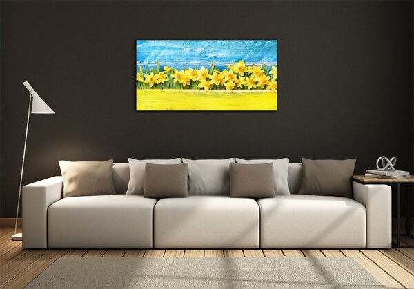 Moderní foto obraz na stěnu Narcisy osh-79578673