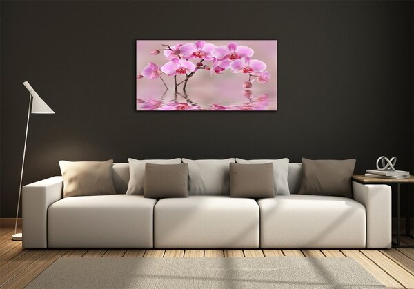 Moderní foto obraz na stěnu Růžová orchidej osh-79883275