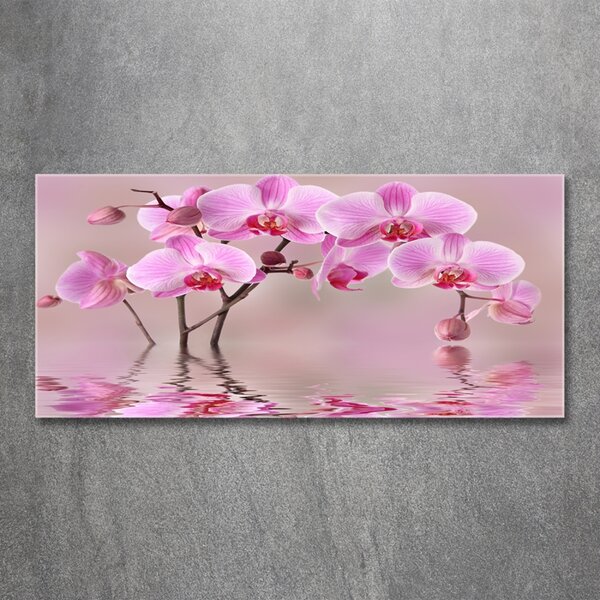 Moderní foto obraz na stěnu Růžová orchidej osh-79883275