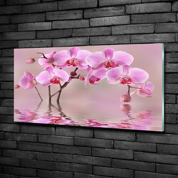 Moderní foto obraz na stěnu Růžová orchidej osh-79883275