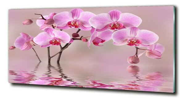 Moderní foto obraz na stěnu Růžová orchidej osh-79883275
