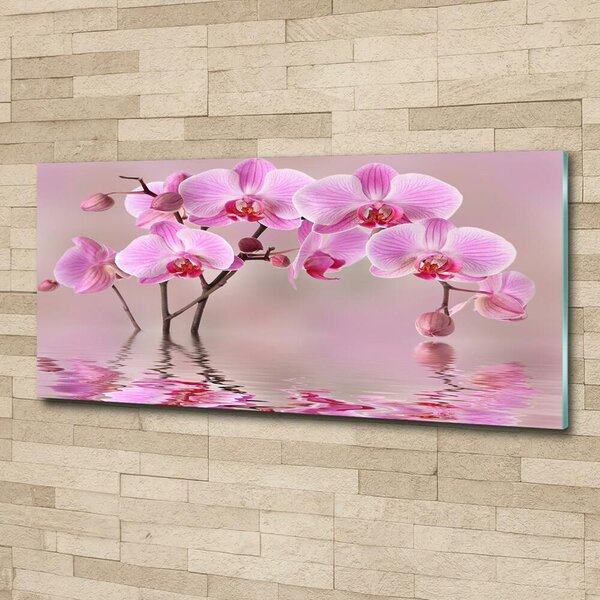 Moderní foto obraz na stěnu Růžová orchidej osh-79883275