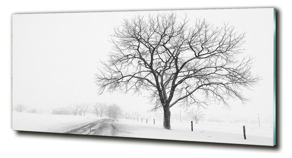 Foto obraz sklo tvrzené Strom zima osh-80032038
