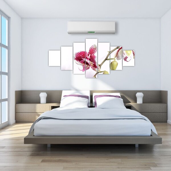 Obraz květu orchideje (210x100 cm)