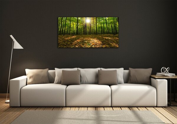 Foto obraz fotografie na skle Les osh-80221074