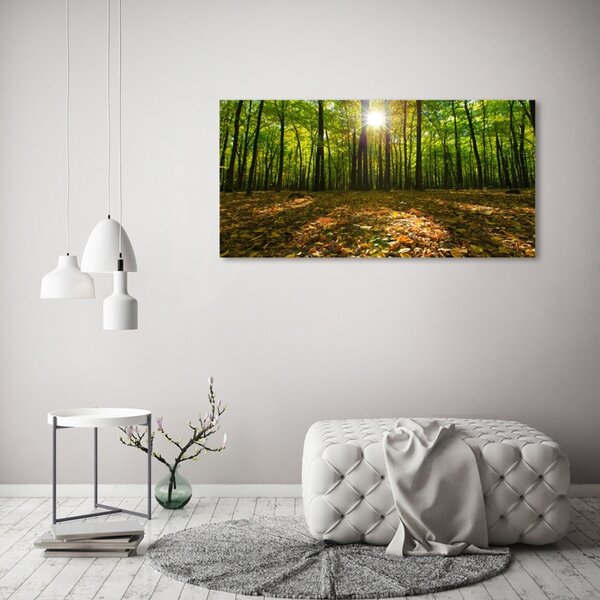 Foto obraz fotografie na skle Les osh-80221074