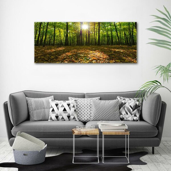 Foto obraz fotografie na skle Les osh-80221074