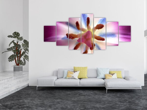 Obraz - Květ tulipánu v detailu (210x100 cm)