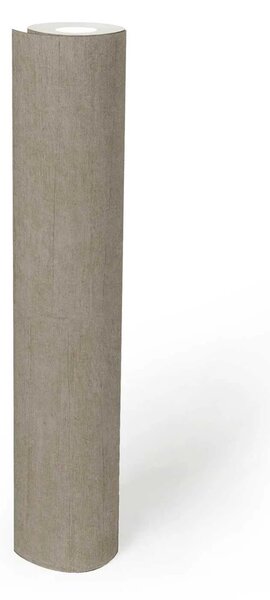 A.S. Création | Vliesová tapeta na zeď History of Art 2 79048-2 | 0,53 x 10,05 m | šedá