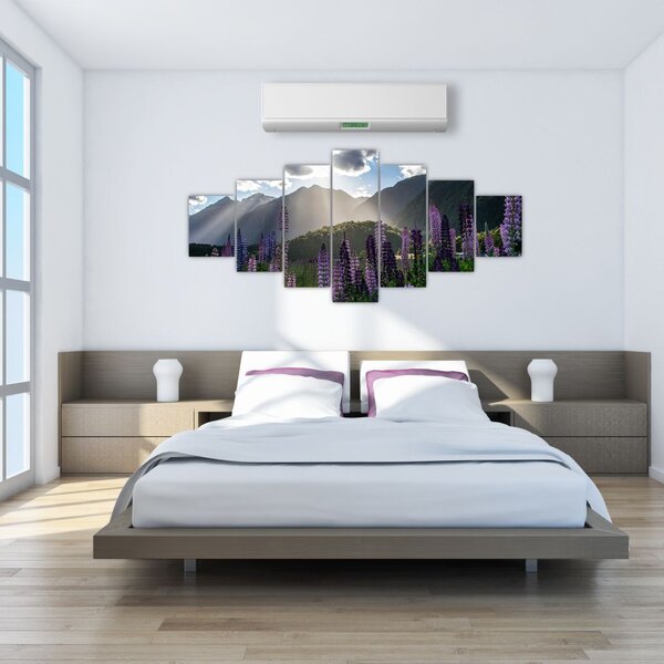 Obraz - Scénerie vlčích bobů (210x100 cm)